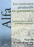 Les territoires productifs en question(s) : transformations occidentales et situations maghrébines