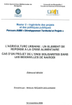 L'agriculture urbaine : un élément de réponse à la crise alimentaire