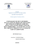 Comparaison de deux méthodes d'évaluation du risque de lixiviation des nitrates d'origine agricole, application sur des productions de deux territoires : le bassin de l'étang de l'Or dans l'Hérault et la Lomagne tarn et garonnaise