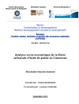 Analyse socio-économique de la filière artisanale d'huile de palme au Cameroun