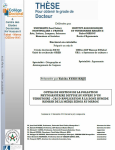 Outils de gestion de la pollution phytosanitaire diffuse au niveau d'un territoire : cas d'application zone humide Ramsar de la Merja Zerga au Maroc