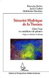 Sécurité hydrique de la Tunisie : gérer l'eau en conditions de pénurie