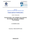 Caractérisation des stratégies de production des ménages agricoles au Malawi