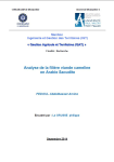 Analyse de la filière viande cameline en Arabie Saoudite