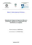 Evaluation de l'impact de l'approche CCB [Creative Capacity Building] sur la productivité, l'attitude et le comportement des bénéficiaires, en Ouganda