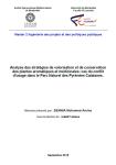 Analyse des stratégies de valorisation et de conservation des plantes aromatiques et médicinales