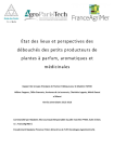 État des lieux et perspectives des débouchés des petits producteurs de plantes à parfum, aromatiques et médicinales