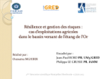 Résilience et gestion des risques : cas d'exploitations agricoles dans le bassin versant de l'étang de l'Or