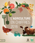 L'agriculture marocaine en chiffres