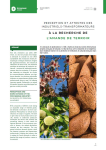 A la recherche de l'amande de terroir : perception et attentes des industriels-transformateurs