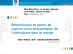 Déterminants et points de rupture socio-économiques de l’oléiculture dans le monde