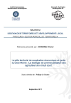 Le pôle territorial de coopération économique du jardin du Gros-Morne [Martinique]