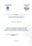 Analyse de la diversité et déterminants des pratiques à potentiel agro-écologique en situation irriguée. Le cas de la plaine du Haut-Chéliff en Algérie