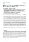 Patterns of circular transition: what is the circular economy maturity of belgian ports?