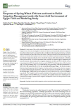 Response of spring wheat (Triticum aestivum) to deficit irrigation management under the semi-arid environment of Egypt: field and modeling study