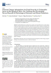 Climate change adaptations for food security in vulnerable areas of the Egyptian Nile. For tackling the overlooked nexus hazards of hydrological extremes and waste pollutions