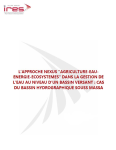 L’approche NEXUS "Agriculture-Eau-Energie-Ecosystemes" dans la gestion de l’eau au niveau d’un bassin versant : cas du bassin hydrographique Souss Massa