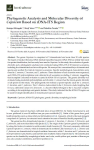 Effects of water stress on vegetative growth and 'Merlot' grapevine yield in a semi-arid Mediterranean climate