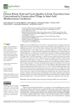 Durum wheat yield and grain quality in early transition from conventional to conservation tillage in semi-arid Mediterranean conditions