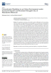 Groundwater depletion in an urban environment under semiarid climate and persistent drought - city of Marrakesh (Morocco)