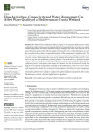 How agriculture, connectivity and water management can affect water quality of a Mediterranean coastal wetland