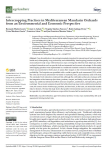 Intercropping practices in mediterranean mandarin orchards from an environmental and economic perspective