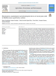 Phenological, morphological and physiological drivers of cereal grain yield in Mediterranean agroforestry systems