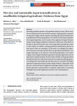 Plot size and sustainable input intensification in smallholder irrigated agriculture: evidence from Egypt