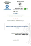 Carbon footprint of corn seeds production in Italy