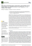 Agricultural field boundary delineation with satellite image segmentation for high-resolution crop mapping: a case study of rice paddy