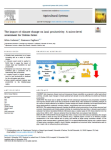 The impact of climate change on land productivity. A micro-level assessment for Italian farms