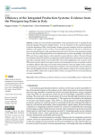 Efficiency of the integrated production systems: evidence from the fgrowing Firms in Italy