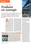 Agrivoltaïsme : produire en synergie