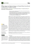 Future impact of climate change on durum wheat growth and productivity in Northern Tunisia