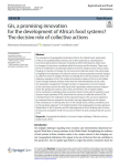 GIs, a promising innovation for the development of Africa's food systems? The decisive role of collective actions