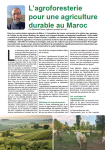 L’agroforesterie pour une agriculture durable au Maroc
