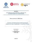 Commerce international des produits agricoles et utilisation de l'eau en agriculture