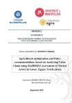 Agricultural optimization and policy recommendations based on analyzing value chain using DAHBSIM assessment of market actors in Luxor, Egypt, North Africa