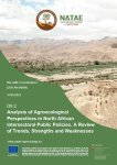 Analysis of agroecological perspectives in North African intersectoral public policies. A review of trends, strengths and weaknesses