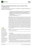 Assessing yield and productivity gaps in Tunisian maize cropping system