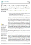 Towards sustainable food security in the Sahel: integrating traditional conservation practices and controlled irrigation to overcome water scarcity during the dry season for onion and jute production