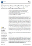 Impact of climate change on wheat production in Algeria and optimization of irrigation scheduling for drought periods
