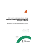Multi-criteria analysis of climate change adaptation and socio-economic uncertainty strategies in drylands