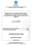 Diagnostic multi-acteurs des perceptions et priorit&eacute;s de la transition vers l&eacute;conomie circulaire dans le monde Arabe