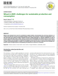 Wheat in 2025: challenges for sustainable production and consumption