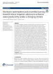 Stochastic optimization and ensemble learning towards robust irrigation advisory to enhance water productivity under a changing climate