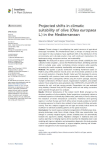 Projected shifts in climatic suitability of olive (Olea europaea L.) in the Mediterranean