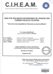 Analyse des micro-entreprises des femmes rurales pauvres : cas de la municipalité de Taliouine au Sud du Maroc