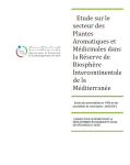 Etude sur le secteur des Plantes Aromatiques et Médicinales dans la réserve de biosphère intercontinentale de la Méditerranée