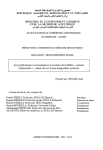 Les performances économiques et sociales de la filière « tomate industrielle » : étude de cas dune intégration verticale